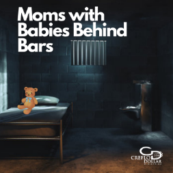 image of jail cell with teddy bear and the words ‘Moms with Babies Behind Bars’